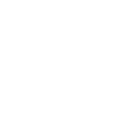 micro-scooter